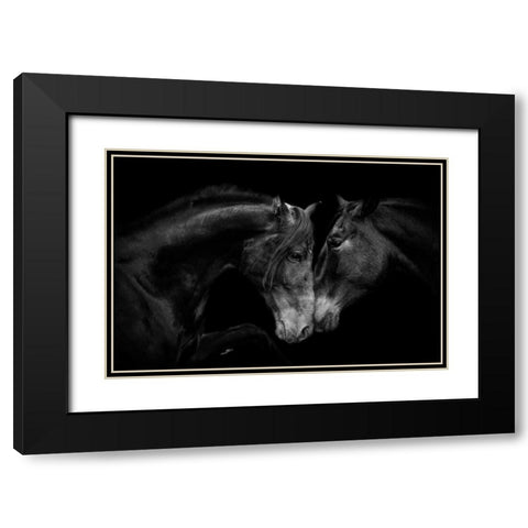 The Stallion and the Marell Black Modern Wood Framed Art Print with Double Matting by Walker, Carol