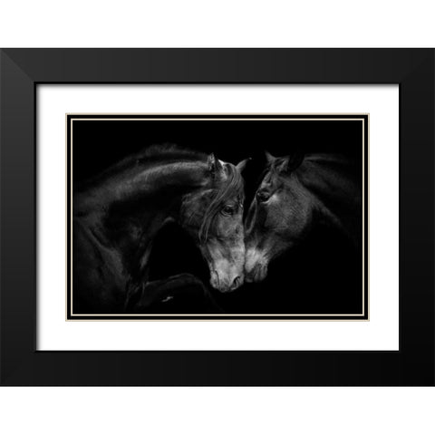 The Stallion and the Marell Black Modern Wood Framed Art Print with Double Matting by Walker, Carol