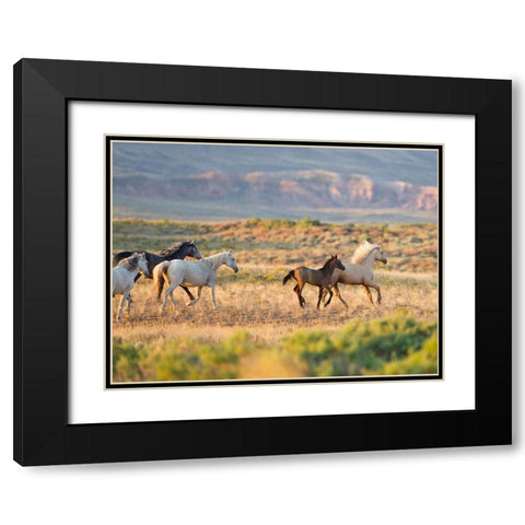 Morning Stroll Black Modern Wood Framed Art Print with Double Matting by Walker, Carol