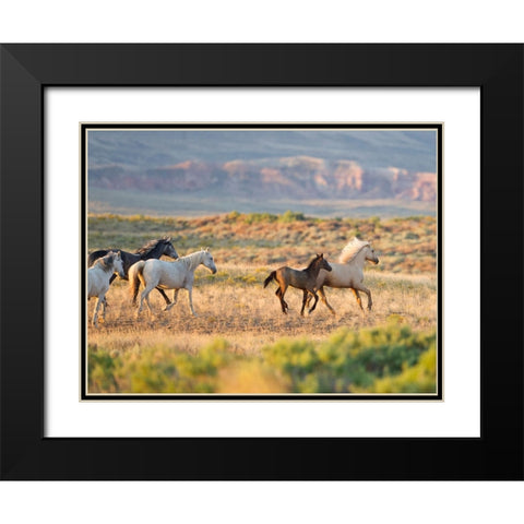 Morning Stroll Black Modern Wood Framed Art Print with Double Matting by Walker, Carol