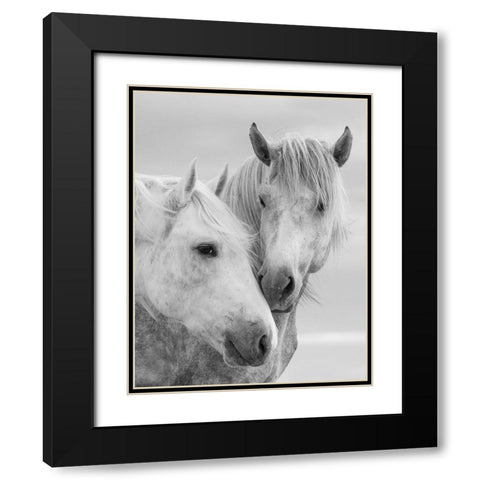 Horse Kisses Black Modern Wood Framed Art Print with Double Matting by Walker, Carol