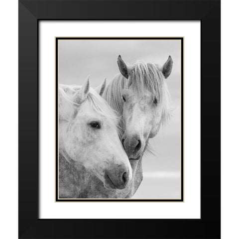 Horse Kisses Black Modern Wood Framed Art Print with Double Matting by Walker, Carol