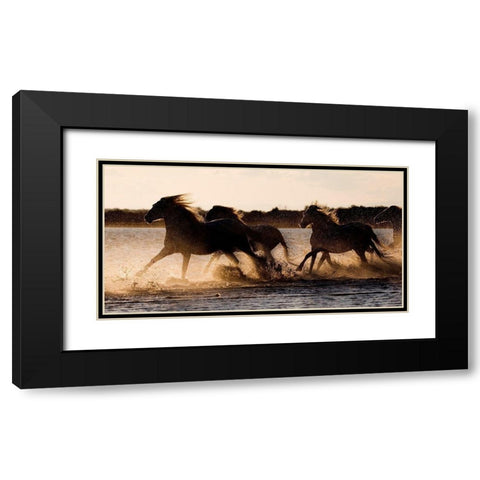 Shore Run Black Modern Wood Framed Art Print with Double Matting by Walker, Carol