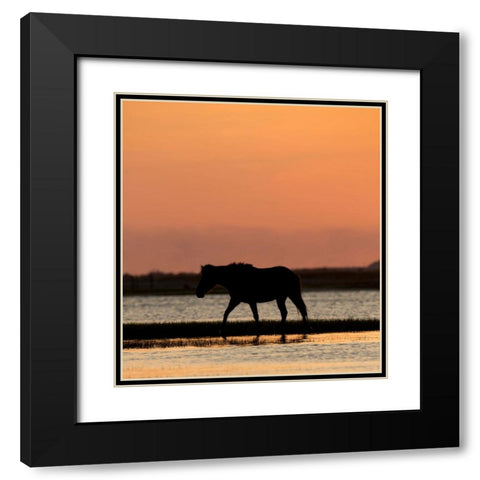 Sunset Stroll Black Modern Wood Framed Art Print with Double Matting by Walker, Carol