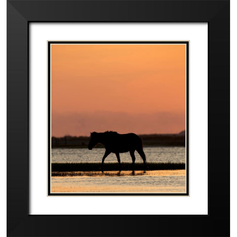 Sunset Stroll Black Modern Wood Framed Art Print with Double Matting by Walker, Carol