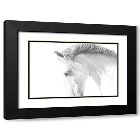 White Horse Black Modern Wood Framed Art Print with Double Matting by Walker, Carol