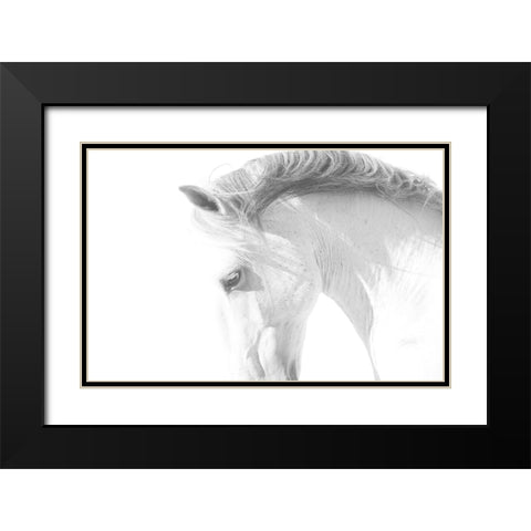 White Horse Black Modern Wood Framed Art Print with Double Matting by Walker, Carol