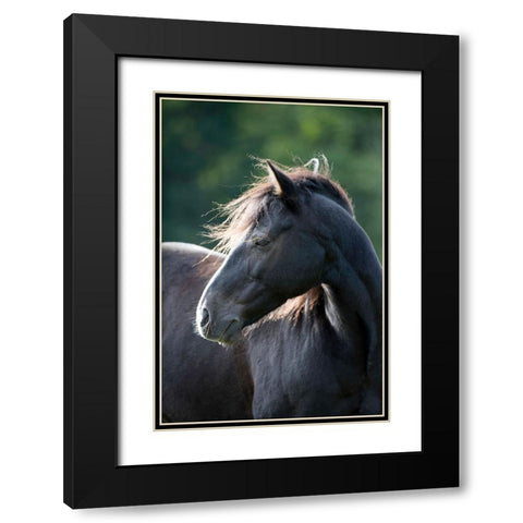 Mystic One Black Modern Wood Framed Art Print with Double Matting by Walker, Carol