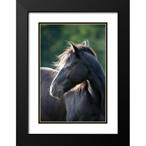 Mystic One Black Modern Wood Framed Art Print with Double Matting by Walker, Carol