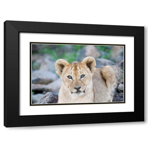 Up Close With Nature Black Modern Wood Framed Art Print with Double Matting by Walker, Carol