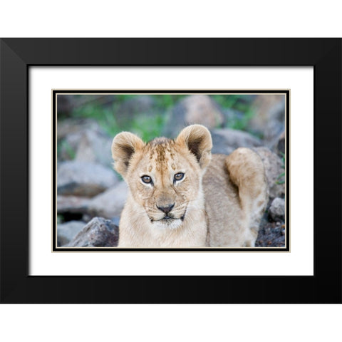 Up Close With Nature Black Modern Wood Framed Art Print with Double Matting by Walker, Carol