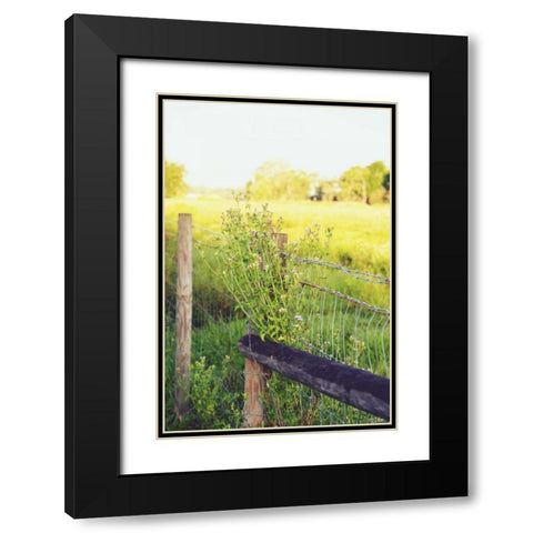 Flowers On The Fence II Black Modern Wood Framed Art Print with Double Matting by Peck, Gail