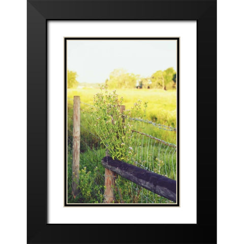 Flowers On The Fence II Black Modern Wood Framed Art Print with Double Matting by Peck, Gail