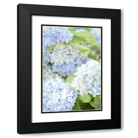 Blooms Black Modern Wood Framed Art Print with Double Matting by Peck, Gail