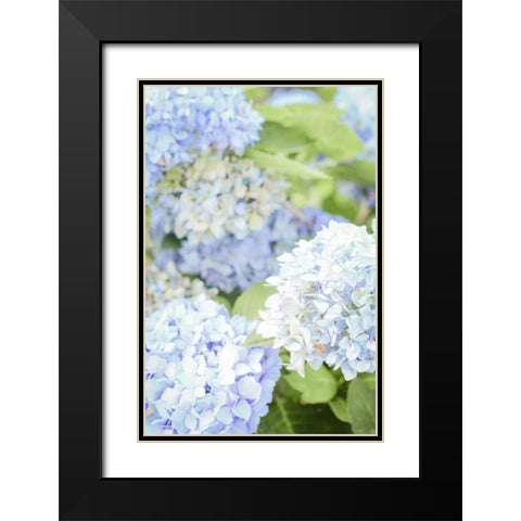 Blooms Black Modern Wood Framed Art Print with Double Matting by Peck, Gail