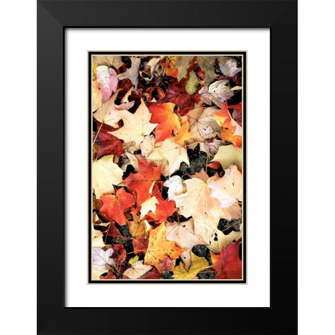 Autumn Falls Black Modern Wood Framed Art Print with Double Matting by Peck, Gail