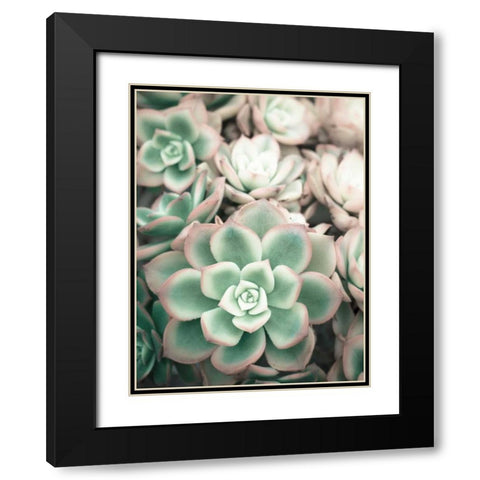 Teal Blooms Black Modern Wood Framed Art Print with Double Matting by Peck, Gail