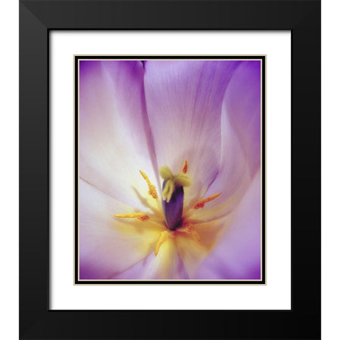 Radiant Black Modern Wood Framed Art Print with Double Matting by Peck, Gail