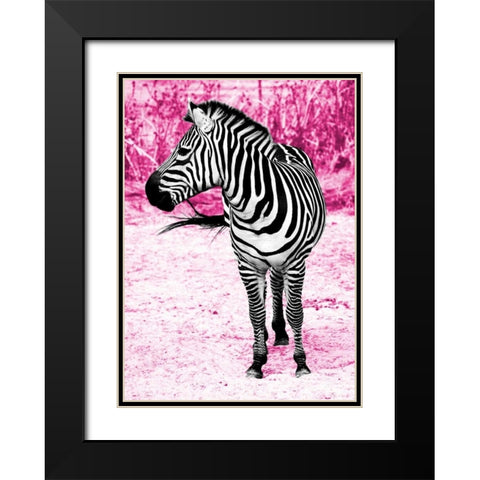 Zebra Set Free Black Modern Wood Framed Art Print with Double Matting by Peck, Gail