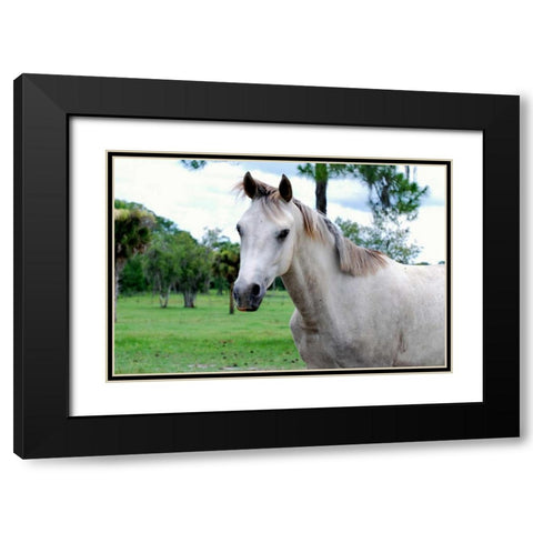 Dockside Black Modern Wood Framed Art Print with Double Matting by Peck, Gail