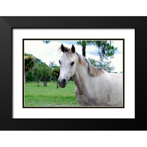 Dockside Black Modern Wood Framed Art Print with Double Matting by Peck, Gail