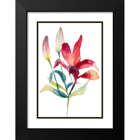 Crimson Paradise Lily Black Modern Wood Framed Art Print with Double Matting by Loreth, Lanie