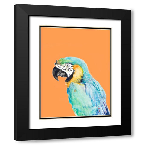 Parrot Portrait Black Modern Wood Framed Art Print with Double Matting by Pinto, Patricia