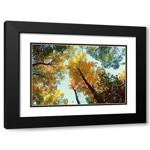Looking Up Black Modern Wood Framed Art Print with Double Matting by Wilson, Kali
