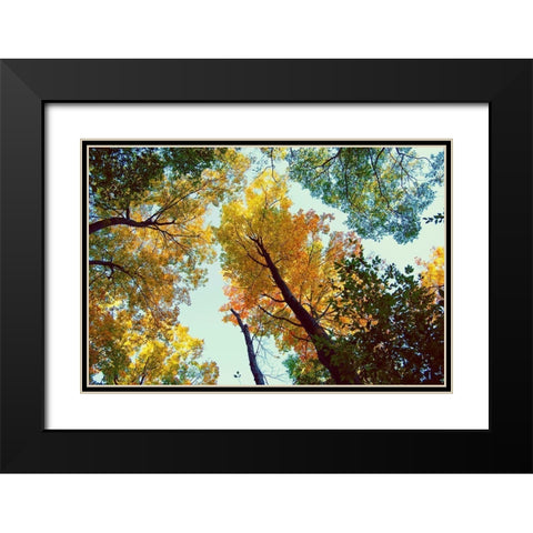 Looking Up Black Modern Wood Framed Art Print with Double Matting by Wilson, Kali