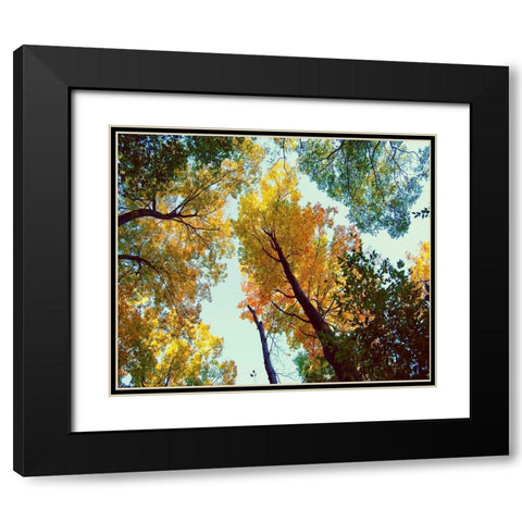 Looking Up Black Modern Wood Framed Art Print with Double Matting by Wilson, Kali