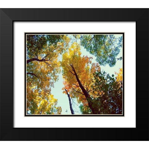 Looking Up Black Modern Wood Framed Art Print with Double Matting by Wilson, Kali