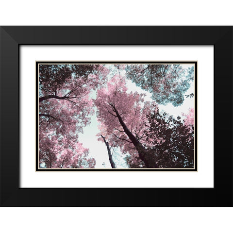 Blooming Cherry Blossom Black Modern Wood Framed Art Print with Double Matting by Wilson, Kali