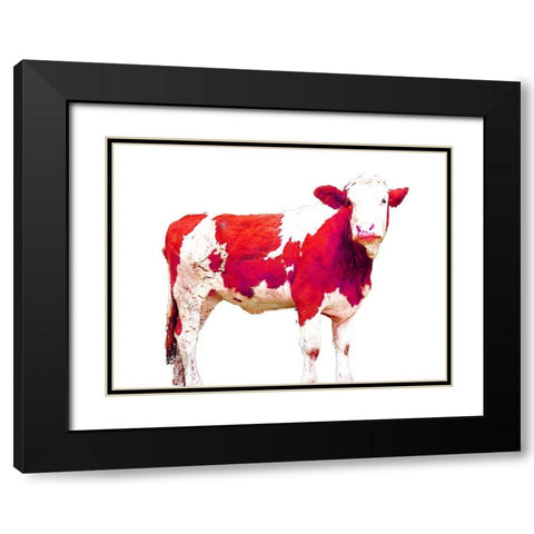 Bright Red Swiss Cow Black Modern Wood Framed Art Print with Double Matting by Hyler, JB