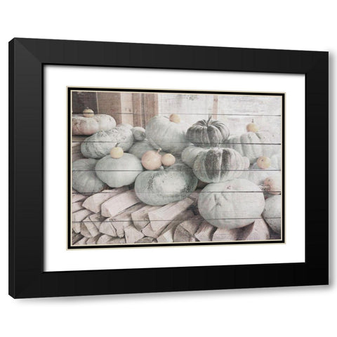 Pumpkins in Fall Black Modern Wood Framed Art Print with Double Matting by Hyler, JB