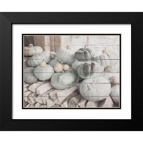 Pumpkins in Fall Black Modern Wood Framed Art Print with Double Matting by Hyler, JB