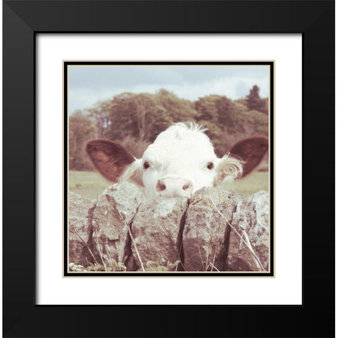 Peek-a-Boo Cow Black Modern Wood Framed Art Print with Double Matting by Hyler, JB