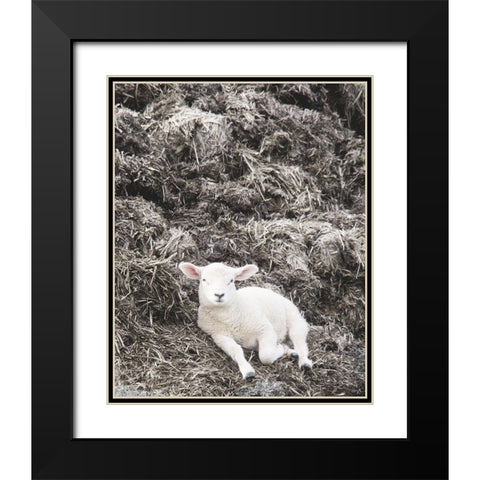 Sheep Vibes Black Modern Wood Framed Art Print with Double Matting by Hyler, JB