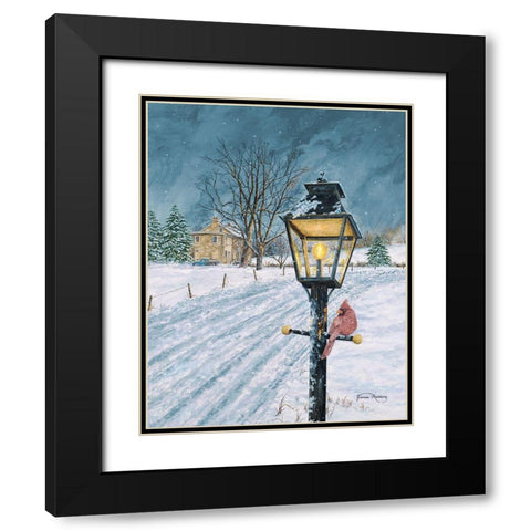 Winter Bird Black Modern Wood Framed Art Print with Double Matting by Redding, James