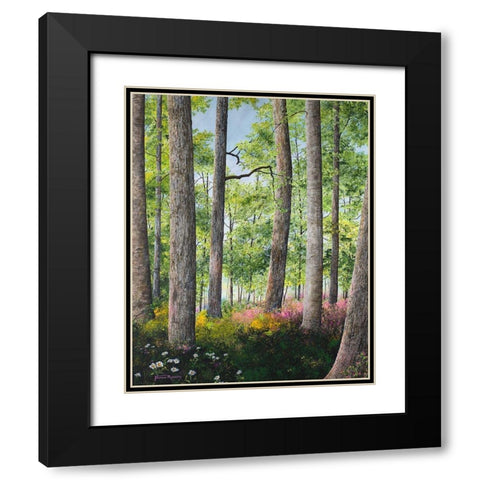 Enchanted Forest Black Modern Wood Framed Art Print with Double Matting by Redding, James