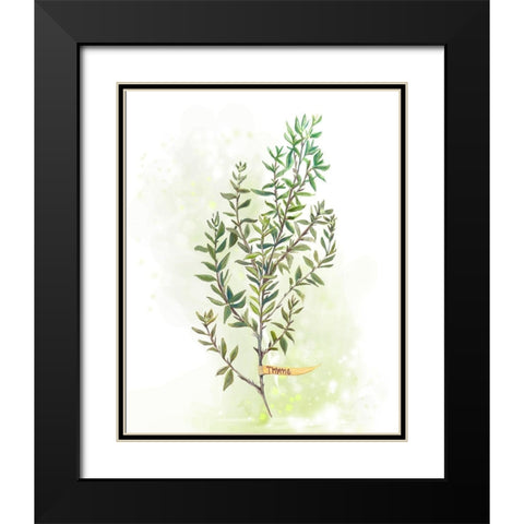 Fresh Herbs IV Black Modern Wood Framed Art Print with Double Matting by Diannart