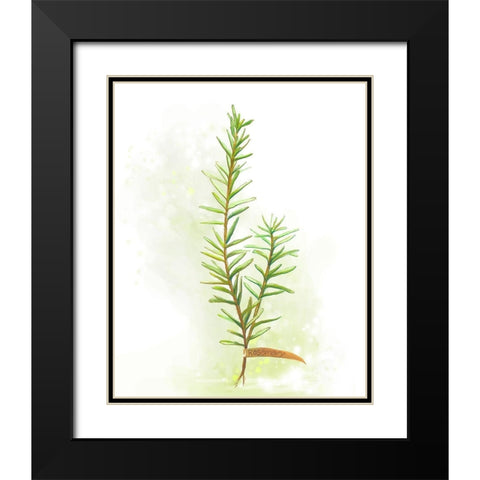 Fresh Herbs II Black Modern Wood Framed Art Print with Double Matting by Diannart
