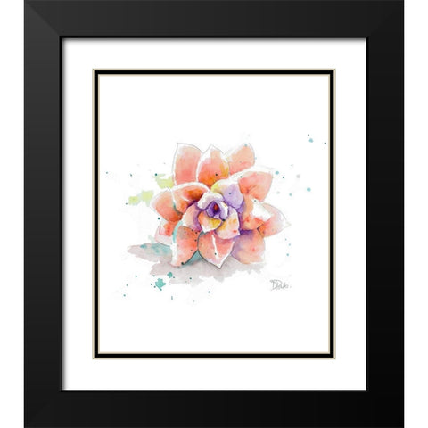 Peach Succulent Black Modern Wood Framed Art Print with Double Matting by Pinto, Patricia