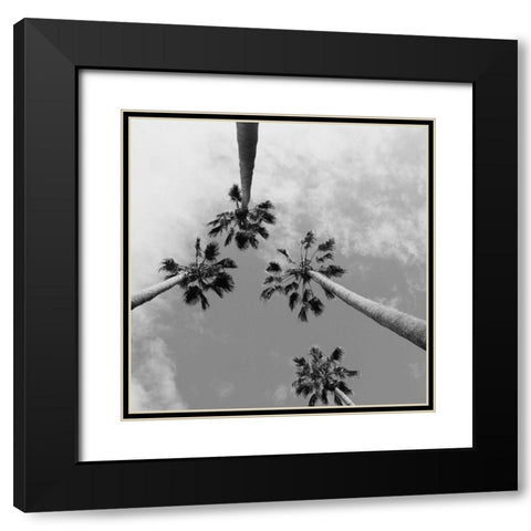 Tropical Gaze Black Modern Wood Framed Art Print with Double Matting by Stewart, Wil