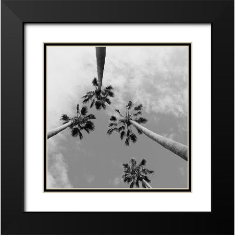 Tropical Gaze Black Modern Wood Framed Art Print with Double Matting by Stewart, Wil