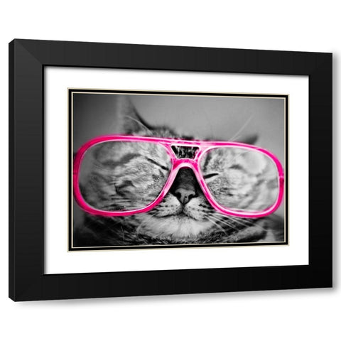 Hip Pets IV Black Modern Wood Framed Art Print with Double Matting by SD Graphics Studio