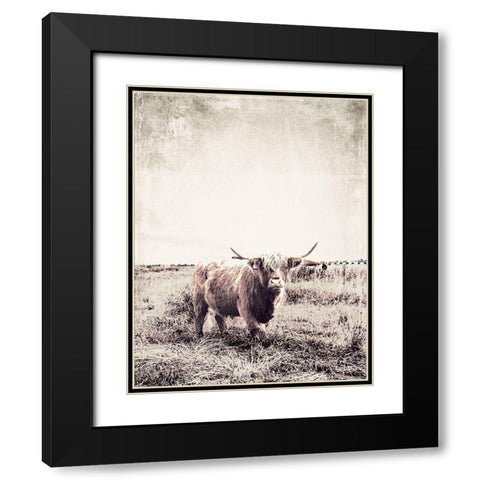 Vintage Highland Cattle Black Modern Wood Framed Art Print with Double Matting by SD Graphics Studio