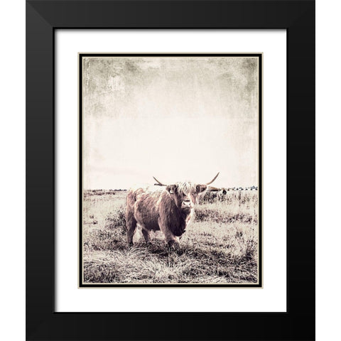 Vintage Highland Cattle Black Modern Wood Framed Art Print with Double Matting by SD Graphics Studio