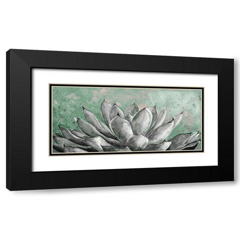 Gray Agave on Green Black Modern Wood Framed Art Print with Double Matting by Pinto, Patricia