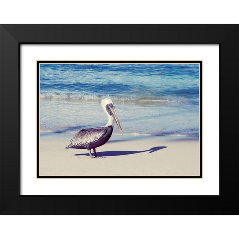 My Shadow Black Modern Wood Framed Art Print with Double Matting by Mansfield, Kathy