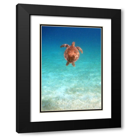 View from Below I Black Modern Wood Framed Art Print with Double Matting by Mansfield, Kathy